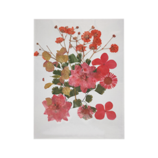 A-ONE 匯旺 AA07 真花壓花小花包，3入1個, 熱情如火