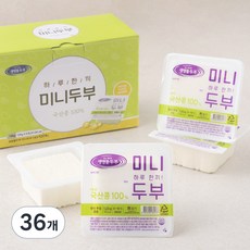 생명물두부 하루한끼 미니두부, 120g, 36개