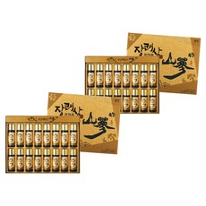 壯快蔘 野山蔘紅蔘濃縮飲, 50ml, 32瓶