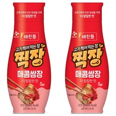 해찬들 찍장 매콤쌈장 튜브형, 300g, 2개