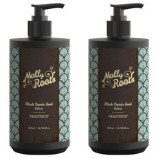 몰리루트 블랙커민씨드 벨벳 기능성헤어트리트먼트, 2개, 500ml