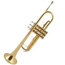 Aidelra德國號小號, 單一顏色, 單品