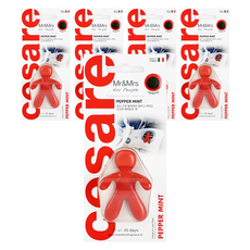 Mr&Mrs FRAGRANCE Cesare Blister 車用芳香劑 主體, 5個, 薄荷