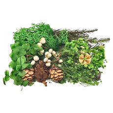 A-ONE 匯旺 乾燥花 B10 3盒,魔法森林,DIY手工天然材料