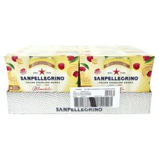 산펠레그리노 모멘티 시트론 & 프랑부아즈 레몬 & 라즈베리, 24개, 330ml