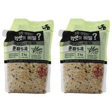 가장 맛있는 밥맛의 비밀 4일 발효 혼합 5곡, 2kg, 2개