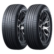 넥센타이어 로디안 GTX 255/50R20, 2개, 출장장착
