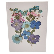 A-ONE 匯旺 真花壓花 小花包-萬紫千紅 AA06, 3入, 1個