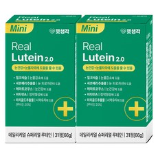 펫생각 강아지 데일리케얼 영양제, 31정, 눈물개선/눈건강, 2개