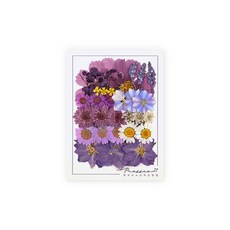 프레스코21 압화 종합팩, K128, 1세트