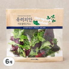 유러피안 가든 샐러드믹스, 180g, 6개