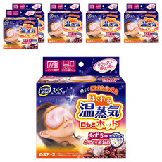 Hakugen Earth 白元 溫感眼罩 Set, 6盒