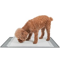 DING DONG PET 寵物矽膠餐桌防水墊 中型 60 x 40 cm, 單一顏色, 1個