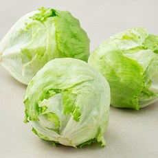 GAP인증 양상추, 1kg, 1개