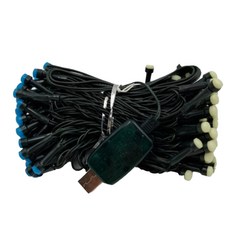 100L 31V USB八功能綠線高亮V8帶膠泡 10m, 藍色 + 白色, 1條