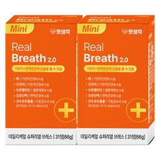 펫생각 강아지 데일리케얼 영양제, 31정, 호흡기/기관지, 2개