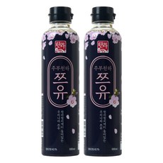 한라식품 주부천하 쯔유, 500ml, 2개