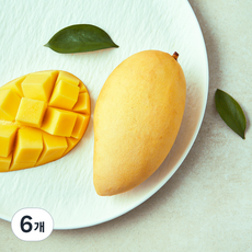 수플린 태국산 망고, 6개, 350g