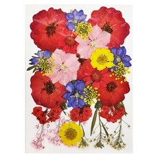 A-ONE 匯旺 真花壓花 大花包 Set 2, 凡爾賽之春