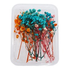 A-ONE 匯旺乾燥花 A24 永生滿天星 Set 3, 藍色 + 橘色 + 紅色