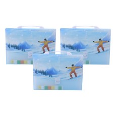 알로데 아트 아코디언 13포켓 A4 서류 정리함 33 x 26 x 3 cm, 05 보드, 3개