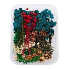 A-ONE 匯旺 乾燥花 Set 3盒 B02 綠果森林