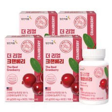 YUNGJIN PHARM The Real 蔓越莓, 90錠, 4個
