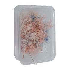 A-ONE 匯旺 乾燥花 3色混 A21 3個, 永生蓬萊松 多色