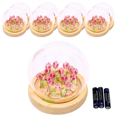 DIY 鬱金香小夜燈 Set 9, 9朵粉色鬱金香, 玻璃罩 + 木質底座, 粉色鬱金香