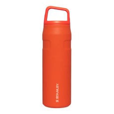 스탠리 아이스플로우 에어로라이트 캡 앤 캐리 + 텀블러, 타이거릴리오렌지, 710ml, 1개