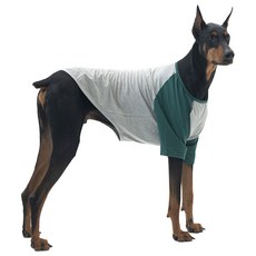 LuckyPetter 狗狗拉克蘭袖T恤, 灰色 + 綠色