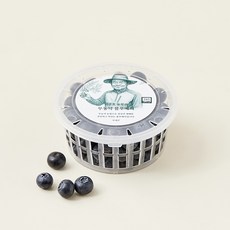 이광호 농부의 무농약 블루베리, 100g(대과), 1개