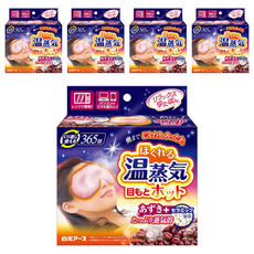 Hakugen Earth 白元 溫感眼罩 Set 可重複使用365回, 5盒