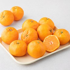 새벽경매 제주 하우스감귤, 1.2kg, 1팩