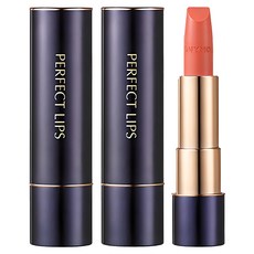 토니모리 퍼펙트 루즈 인텐스 립스틱, 2개, 02 샤인 코랄