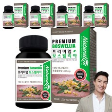 네추럴라이즈 프리미엄 보스웰리아 60g, 60정, 5개