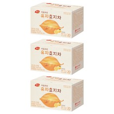 DONGSUH 東西食品 暖心茶 柚子焙茶, 20入, 3個, 0.9g