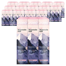 2080 퓨어치약 핑크마일드민트향, 120g, 45개