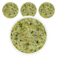 짱죽 실온이유식 9개월부터 중기 죽2, 전복영양죽, 160g, 4개