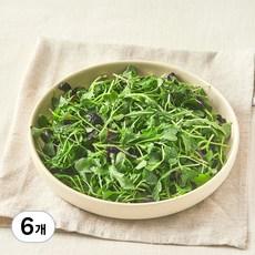 유기농 베이비채소, 6개, 100g