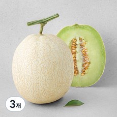 제이드가든 고당도 하니원 메론, 1.3kg, 3개