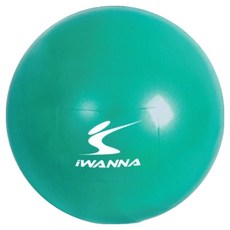 아이워너 웨이트볼, 민트(1.5kg)