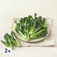 친환경 비타민, 2개, 150g