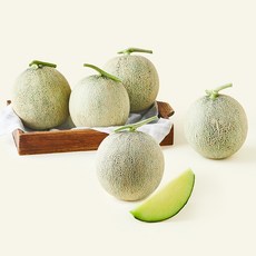 제이드가든 머스크 메론, 1개, 6kg(5~6수)