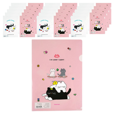 pinkfoot 800喵喵文件夾, 60個, 隨機出貨