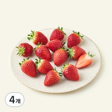 과일진심 산청 GAP 인증 한단 금실 딸기 대과, 500g, 4개