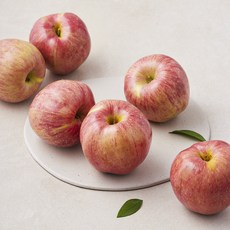 곰곰 당도선별 사과(소과), 1개, 1.3kg(소과)