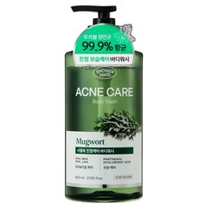 샤워메이트 사철쑥 아크네 케어 여드름 기능성 바디워시, 800ml, 1개