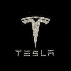 TPARTS 特斯拉 Model S3XY LED 車門燈, 白色的, 2個