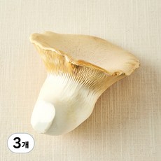 국내산 친환경 황제버섯, 180g, 3개
